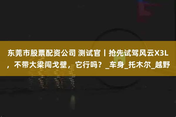 东莞市股票配资公司 测试官丨抢先试驾风云X3L，不带大梁闯戈壁，它行吗？_车身_托木尔_越野